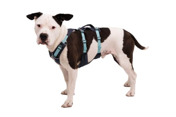 Ruffwear Flagline Harness Basalt Gray Gr. M Ruffwear Flagline Harness Basalt Gray Gr. M